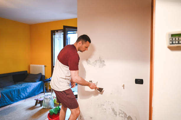 Best Water Damage Restoration  in Lutz, FL